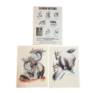 Signed Doug Lindstrand Alaskan Sketches 12×16 Limited Edition Wildlife Prints